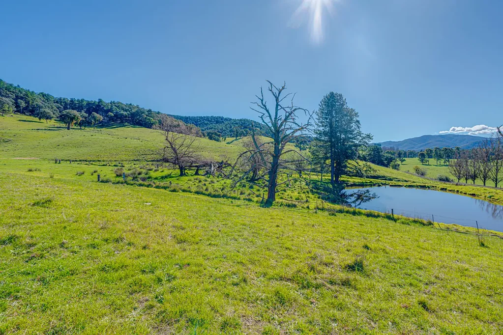 Myrtleford  Spectacular 178-Acre Rural Holding with Panoramic Alpine Views