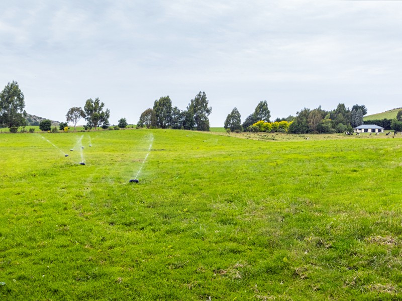 313 Springfield Road, Totara, Waitaki, 0 chambres, 0 salles de bain