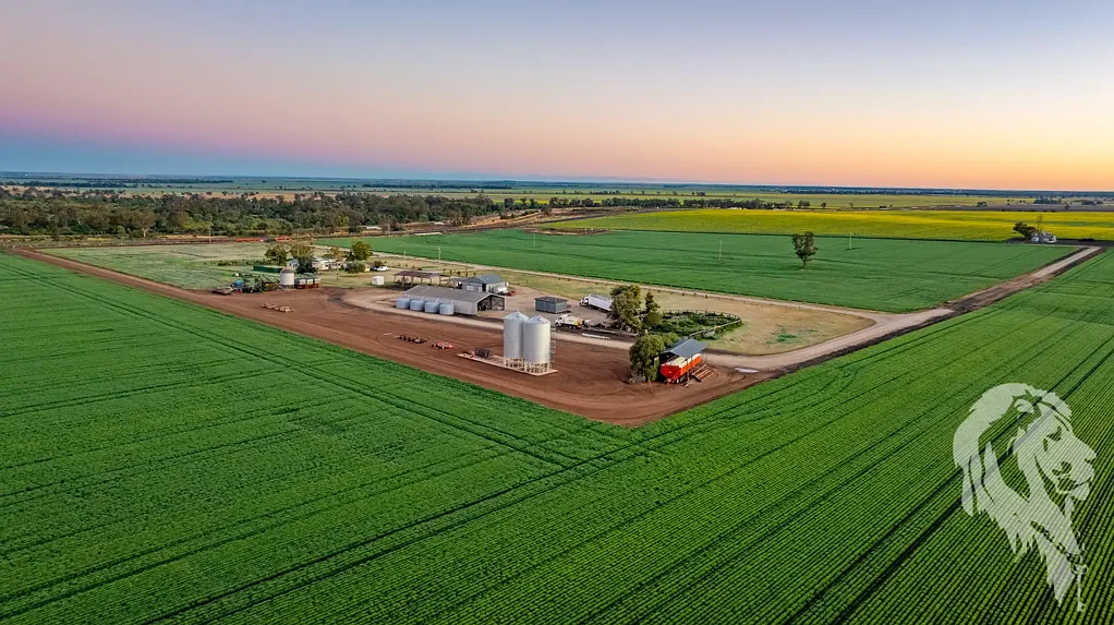 Narrabri PRODUCTIVE BROADACRE HOLDING - CLOSE TO TOWN