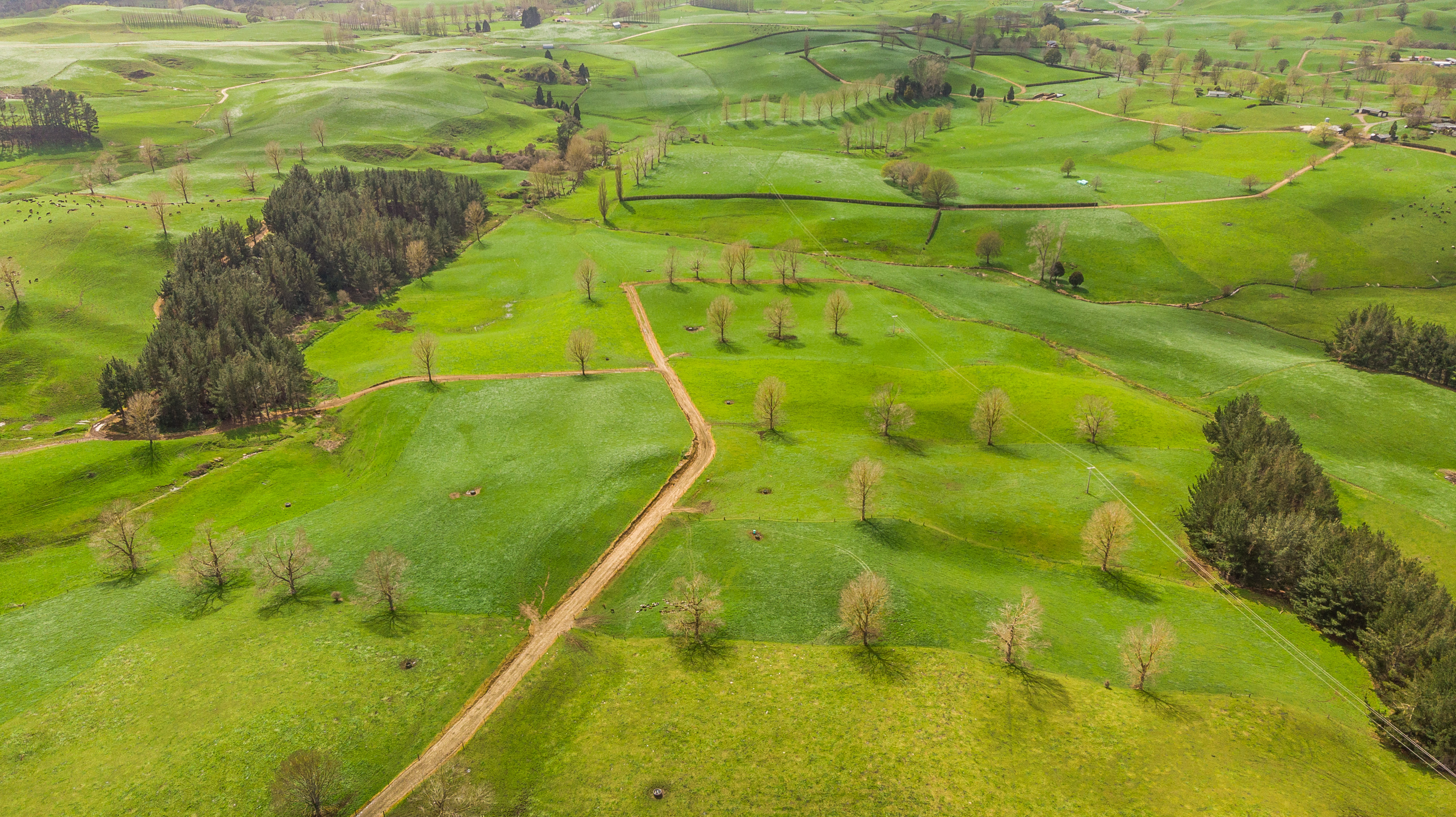 120 Pamotumotu Road, Maihiihi, Otorohanga, 0 ਕਮਰੇ, 0 ਬਾਥਰੂਮ, Dairy