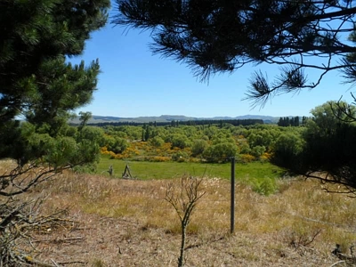 Rural Zone