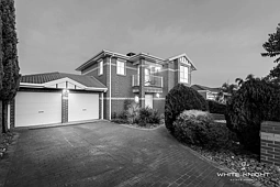 6 Cressida Crescent, Sydenham