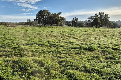 LOT 152 Warru Road, Ginginup, WA 6503, 0 Schlafzimmer, 0 Badezimmer, Section