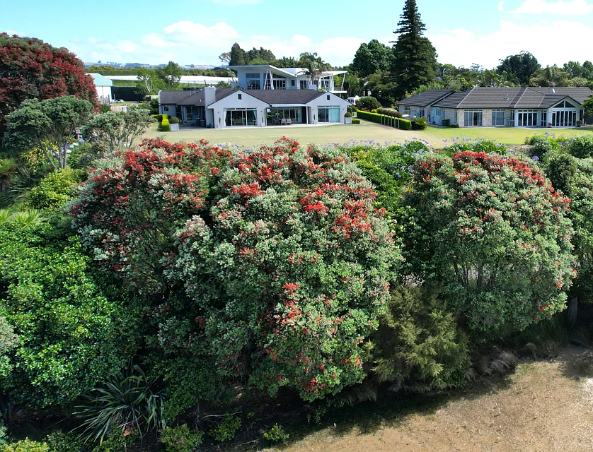 329o Plummers Point Road, Whakamarama, Western Bay Of Plenty, 4房, 2浴, Lifestyle Property