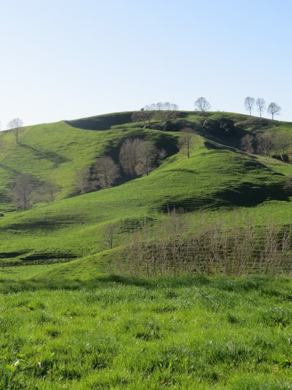 247 Tahaia Road, Otorohanga, Otorohanga, 0房, 0浴