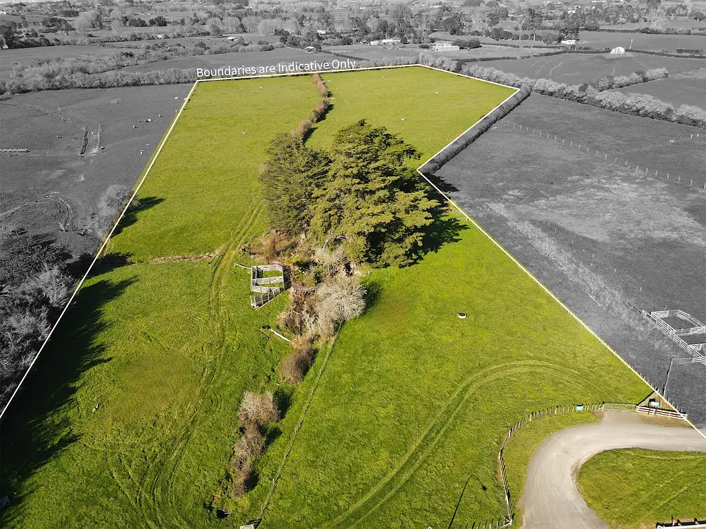 Te Kowhai Design Without Limits!