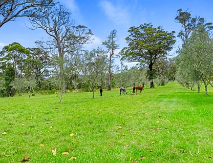 1794 Bells Line of Road, Kurrajong Heights, Outer Western Sydney, 4 chambres, 1 salles de bain, Lifestyle Section