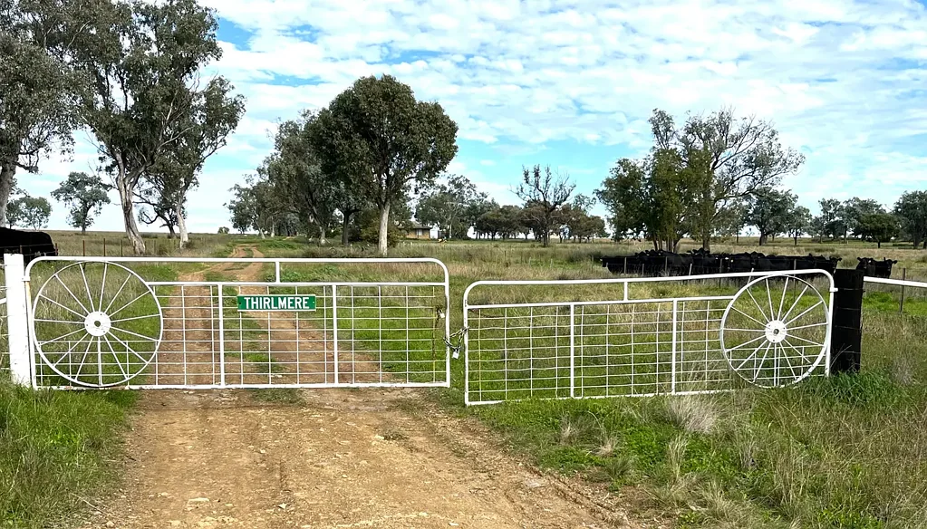 Gunnedah "Thirlmere" - Centrally Located, Productive Grazing Property