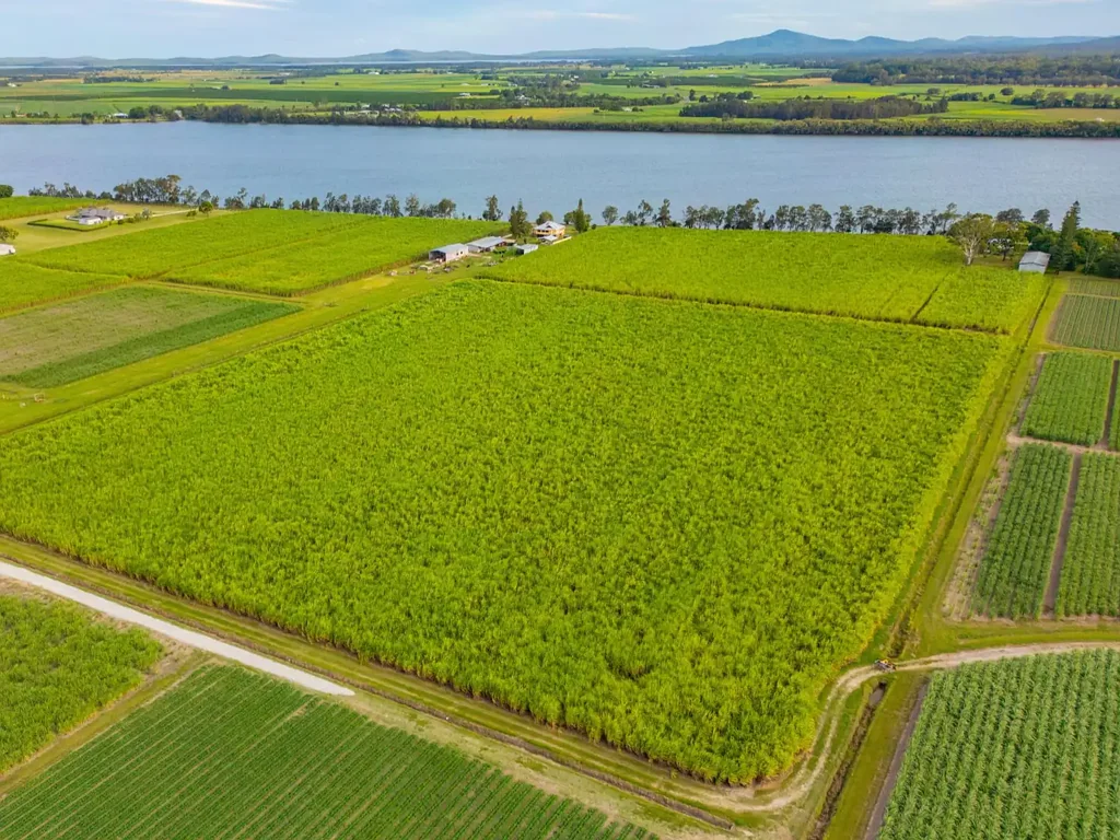 Harwood Productive cane farm with Development Approval and River views