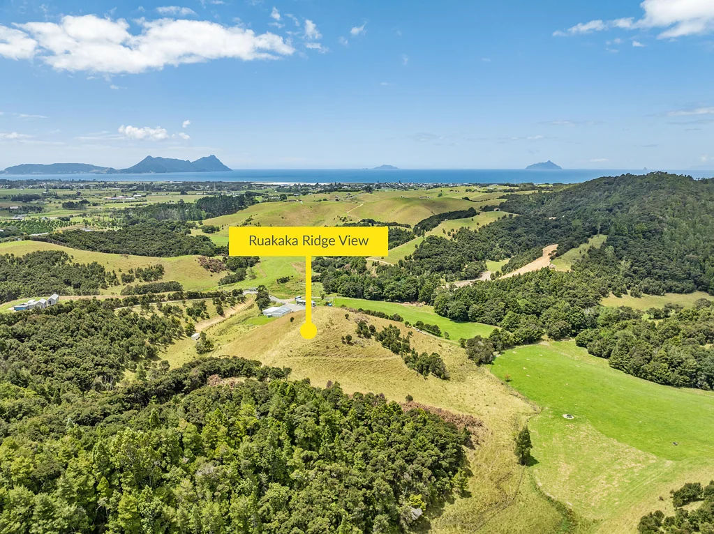 Ruakaka  Lifestyle Opportunity Not to Be Overlooked