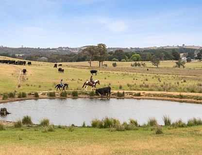 "Springhill" 959 Spring Range Road, Springrange, Rest of NSW, 0 Bedrooms, 0 Bathrooms, Section
