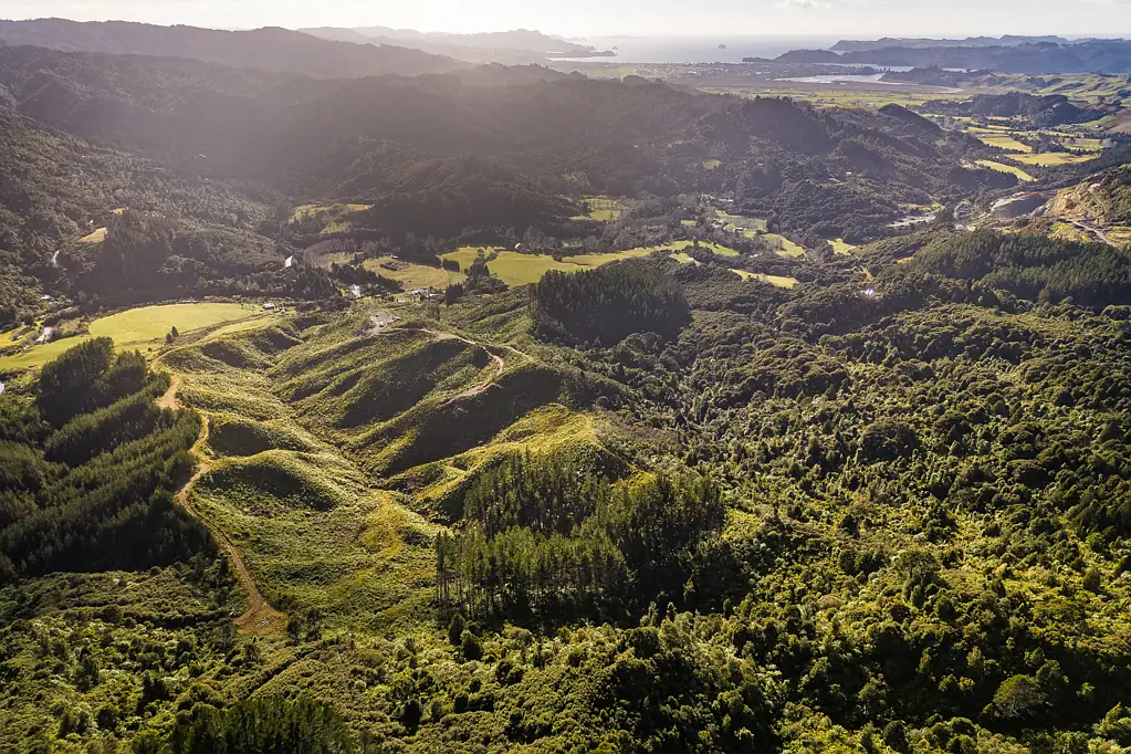 Kaimarama Escape to Your Own Wilderness – 1870 The 309 Road, Whitianga