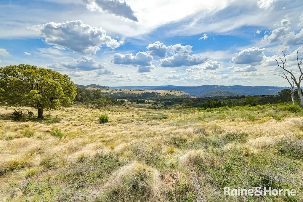 Ophir "BULLS ROAR" - YOUR WEEKEND ESCAPE AWAITS