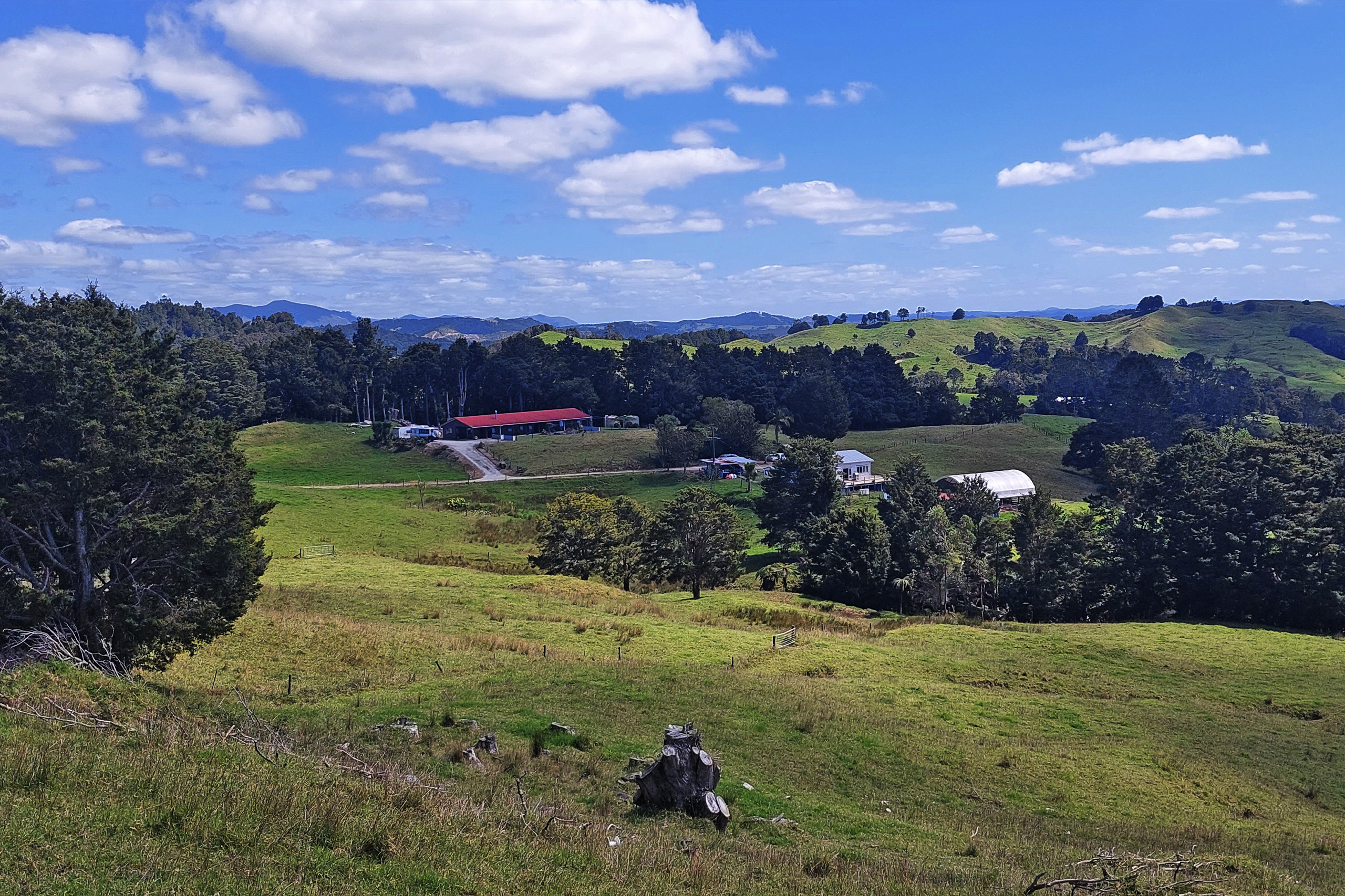 246 Marlow Road, Ruatangata, Whangarei, 4 침실, 0 욕실, Lifestyle Property