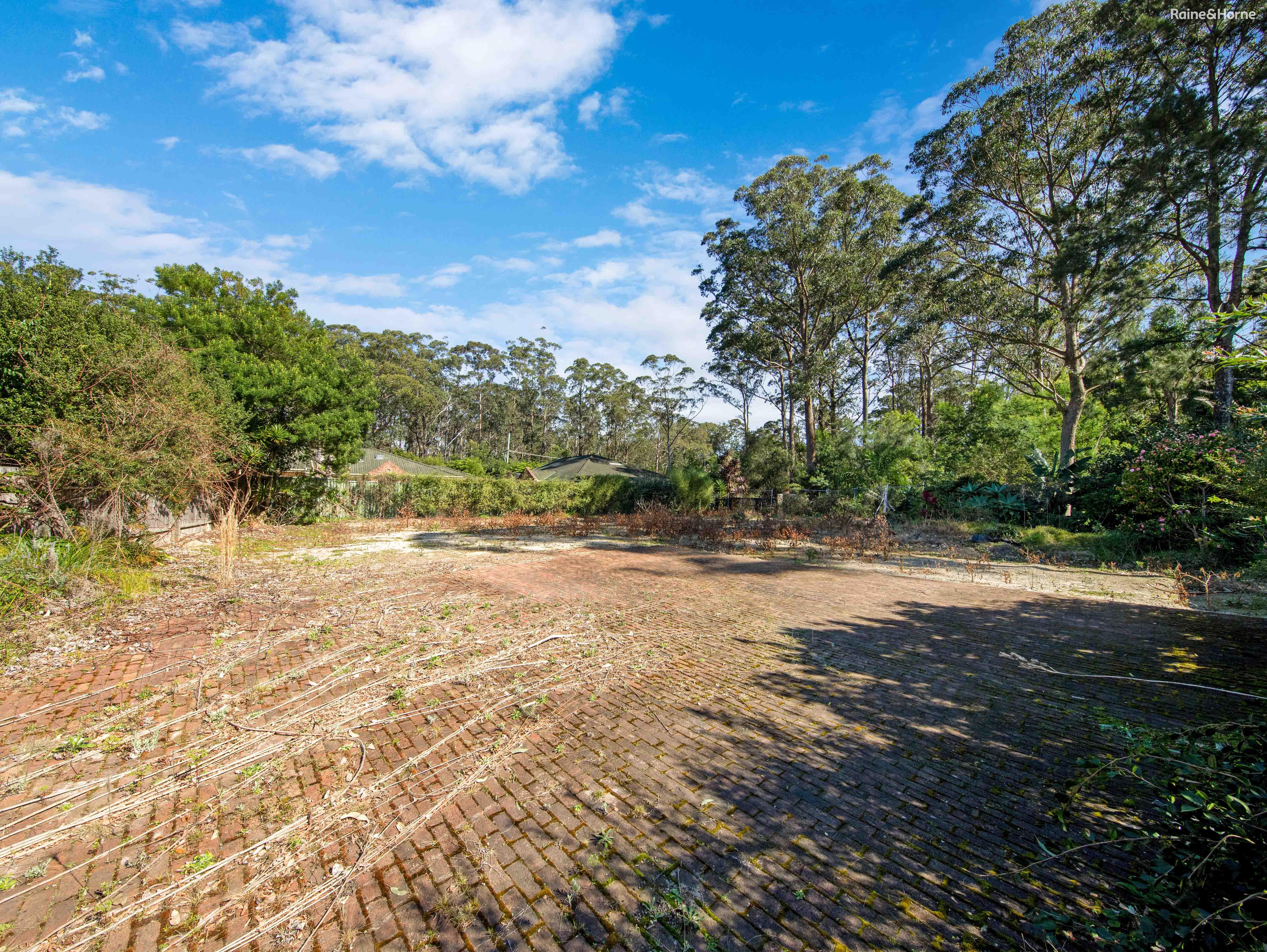 7 NEWTH PL, SURF BEACH NSW 2536, 0 rūma, 0 rūma horoi, Section