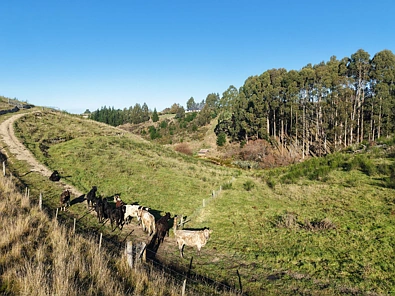 3 Mackenzie Point Rise, Oamaru North, Waitaki, 0 Bedrooms, 0 Bathrooms, House