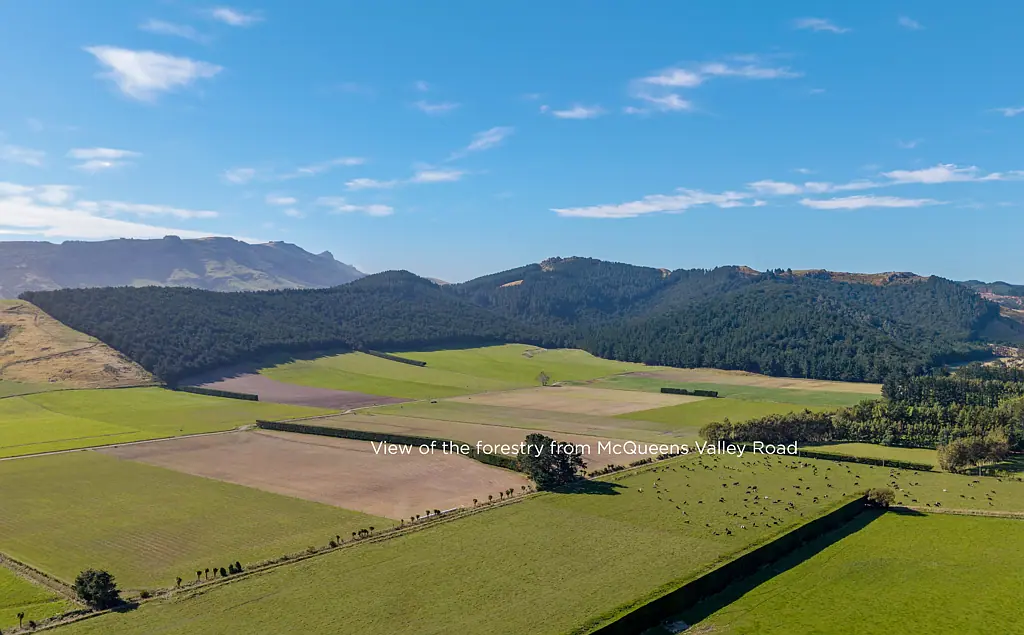 Motukarara Superb lifestyle and carbon investment opportunity