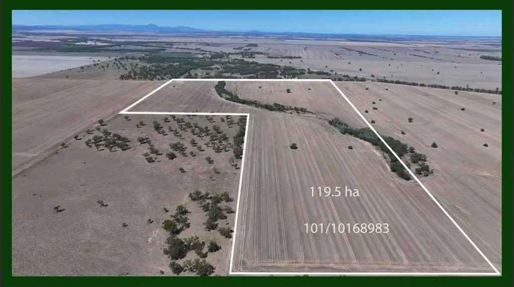 Moree  " The Lease" cheecome Road Moree