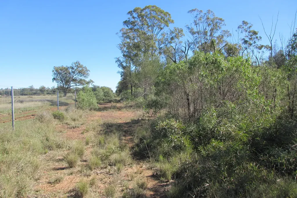 Tara Just under 40 acres for how much?