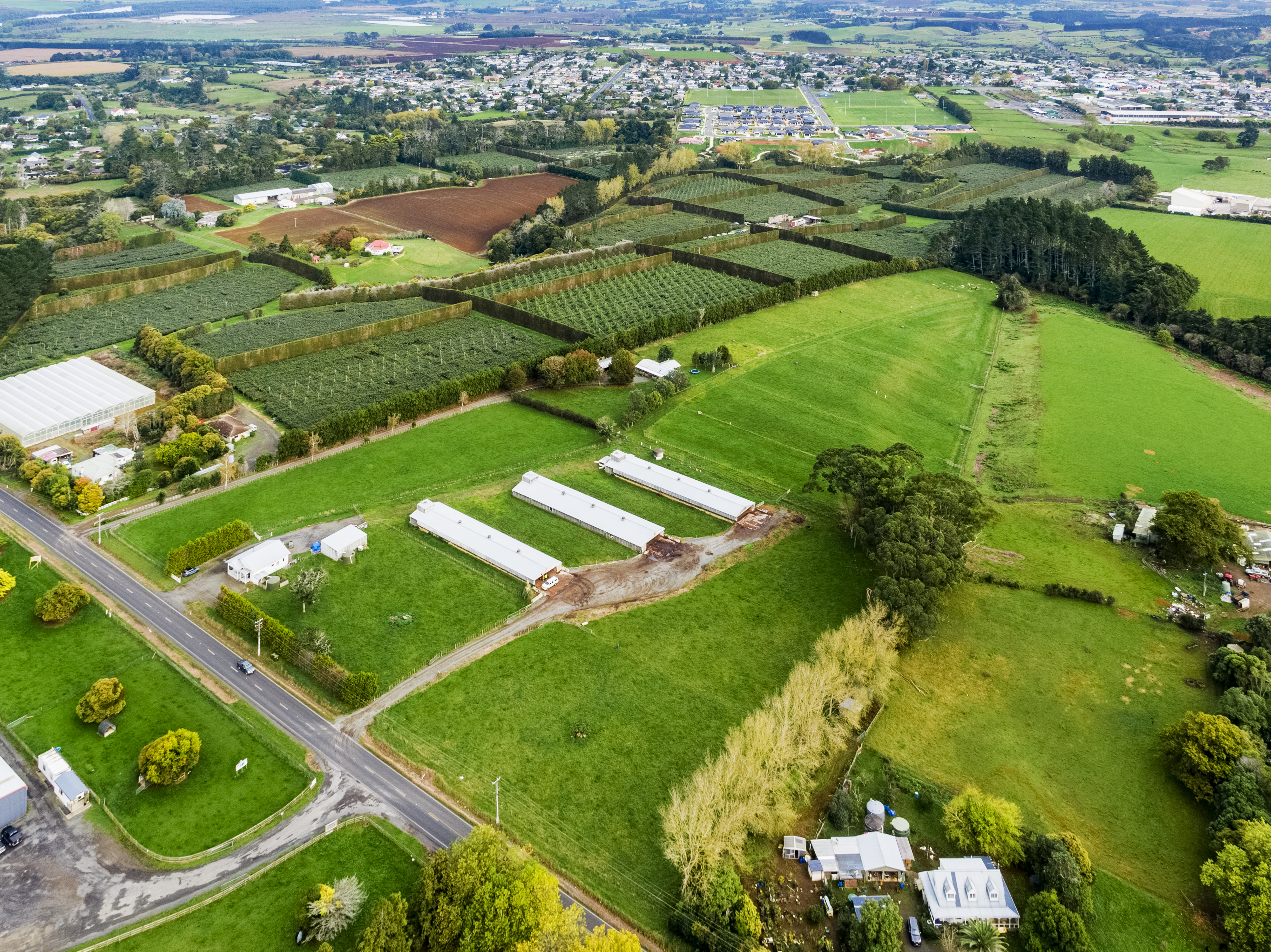 121 Whangarata Road, Tuakau, Waikato, 0 રૂમ, 0 બાથરૂમ