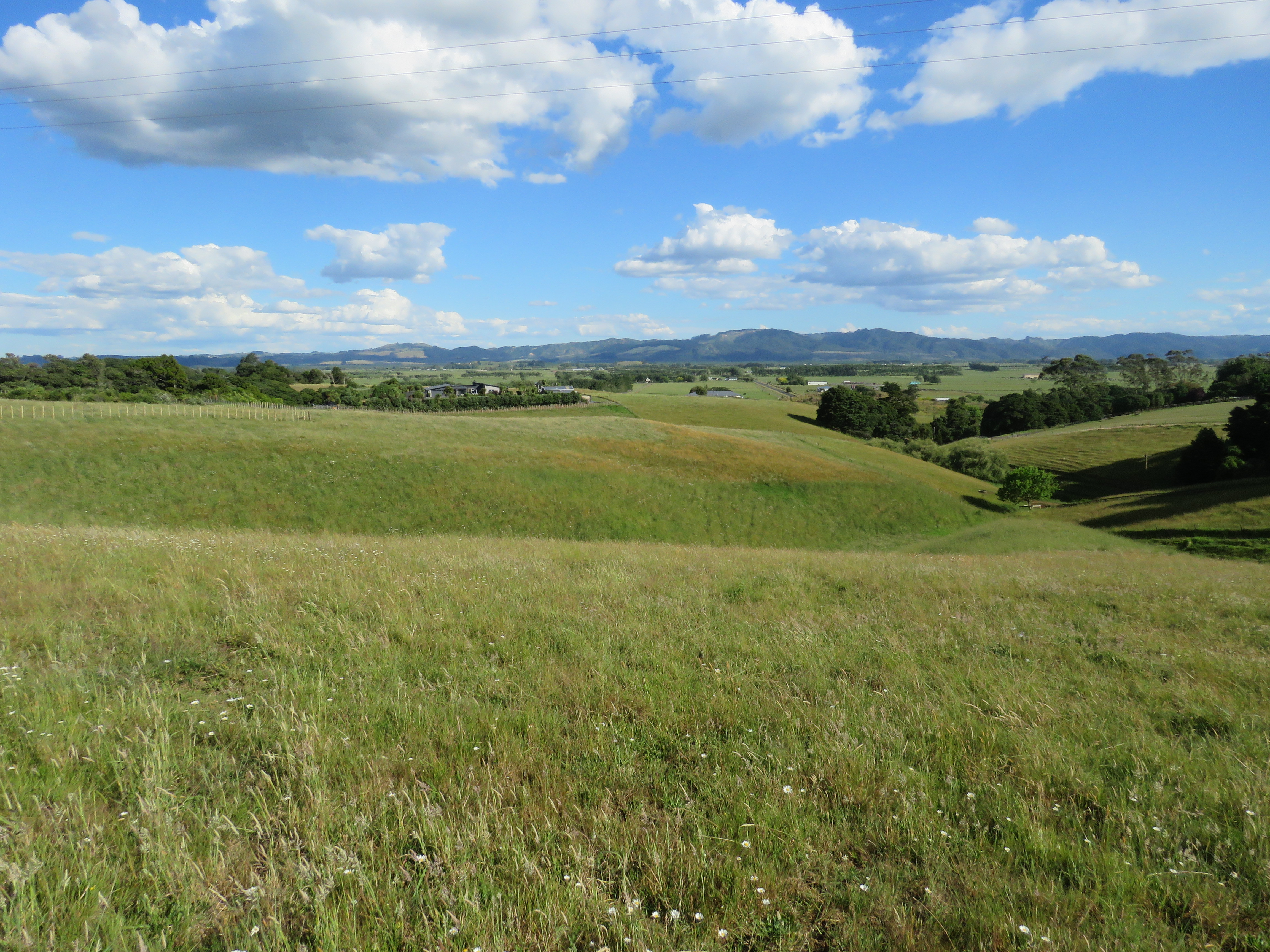 9 Lewis Road, Otaua, Waikato, 4 chambres, 0 salles de bain