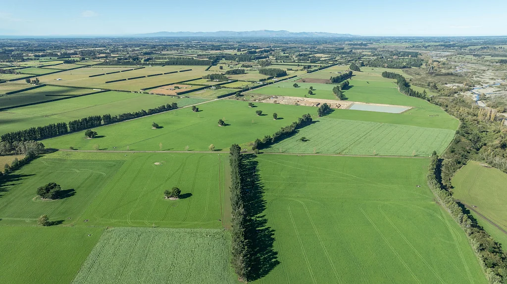 Loburn  Premium Dairy Grazing & Development Opportunity