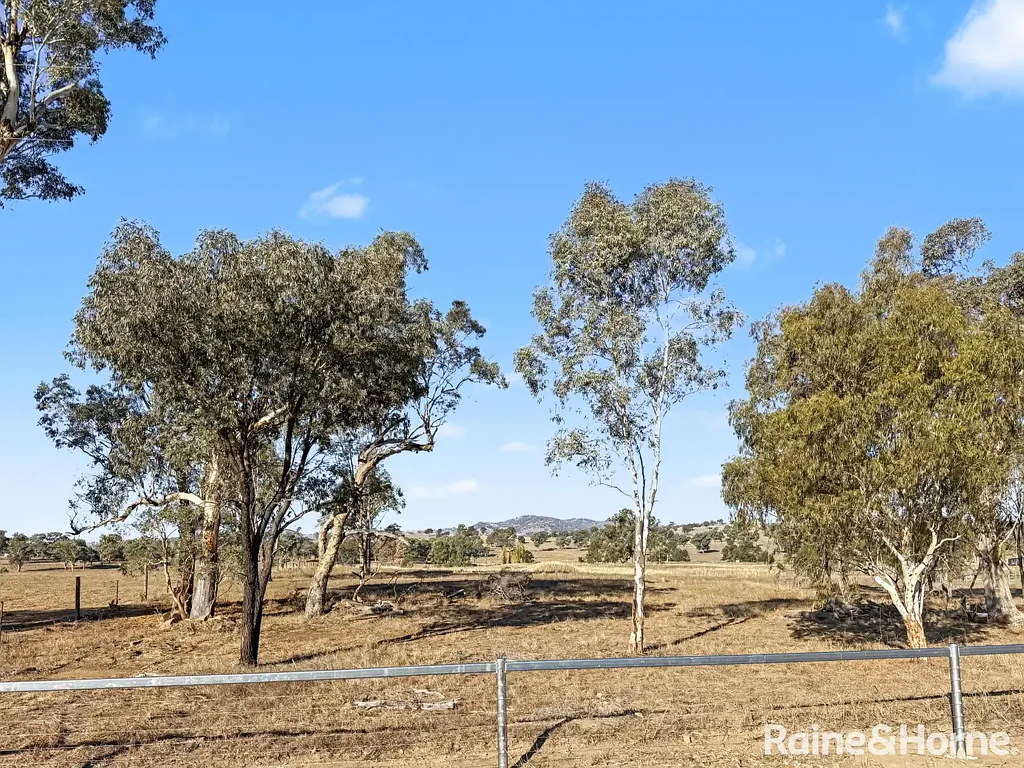 Tamworth Parcel of Paradise 20 minutes from the CBD