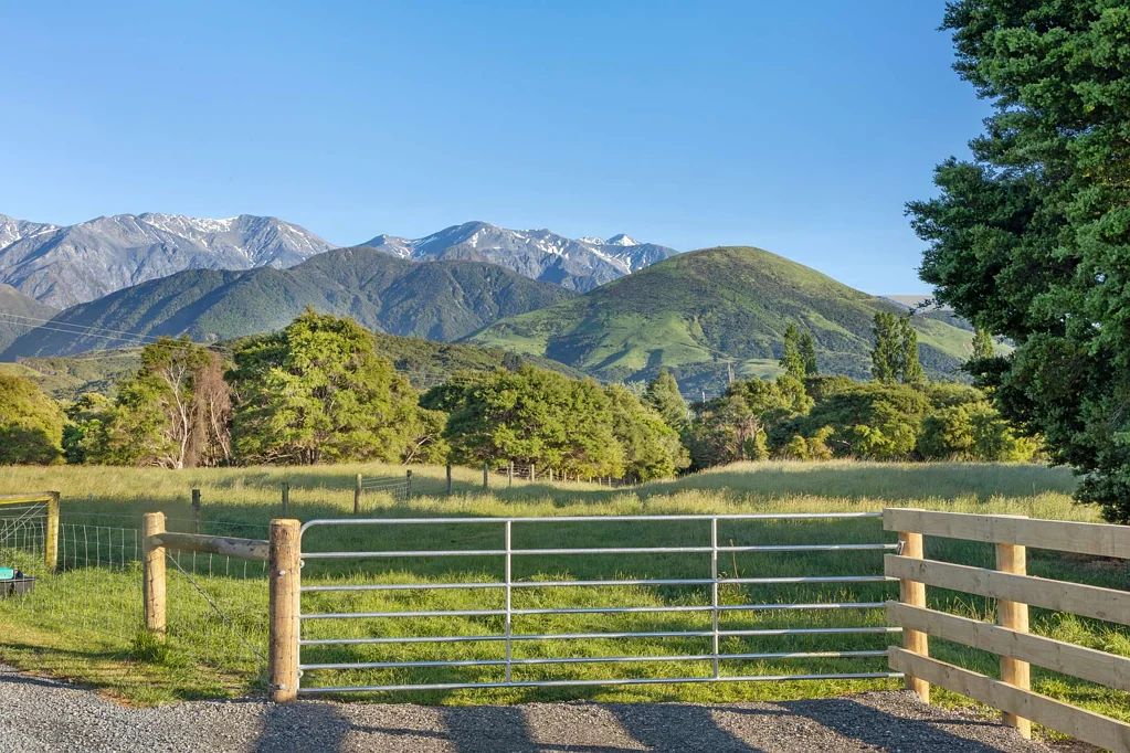 Kaikoura A Haven For Nature Lovers
