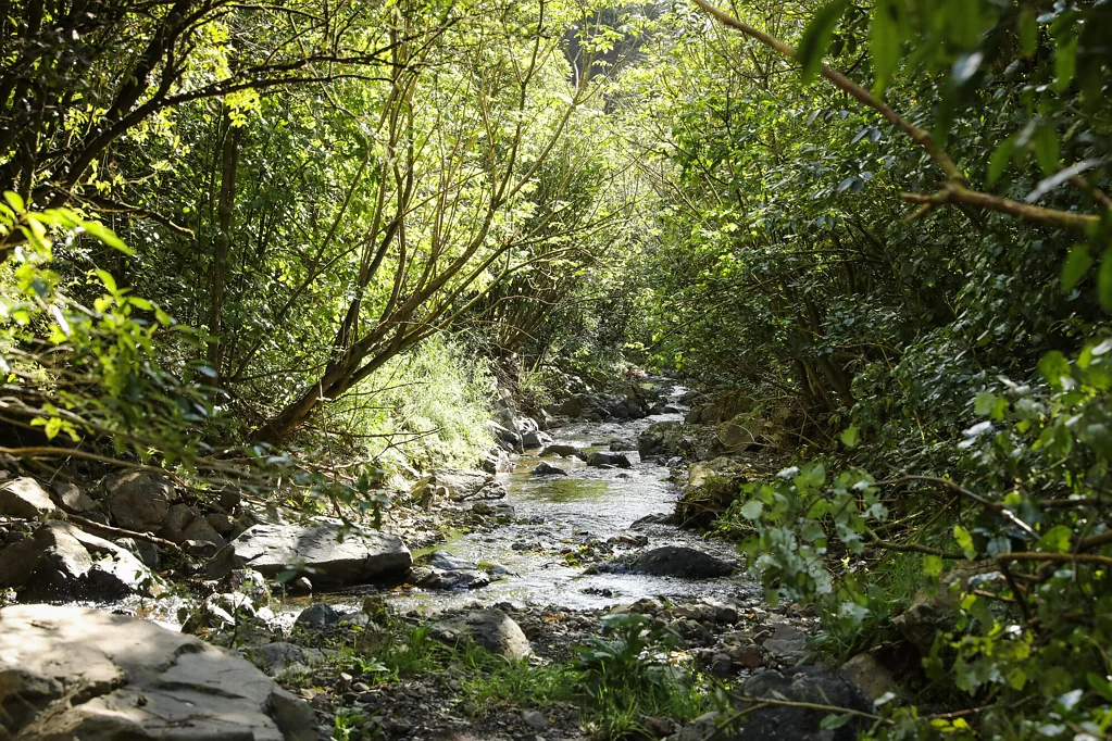 Aokautere Private sanctuary with panoramic views