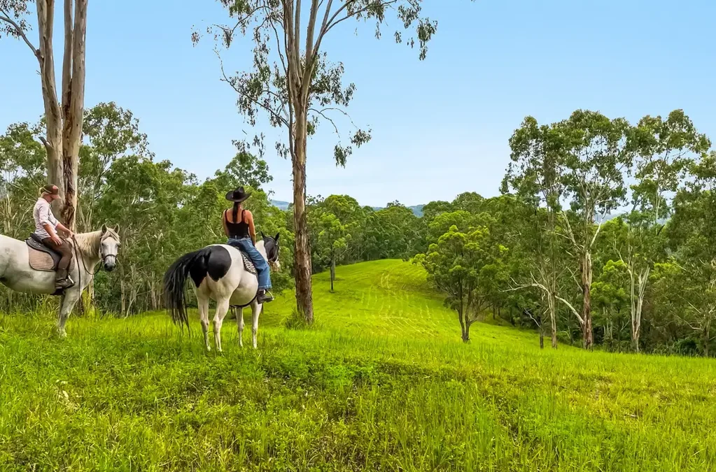 81 Thompsons Road, Cawongla, NSW 2474