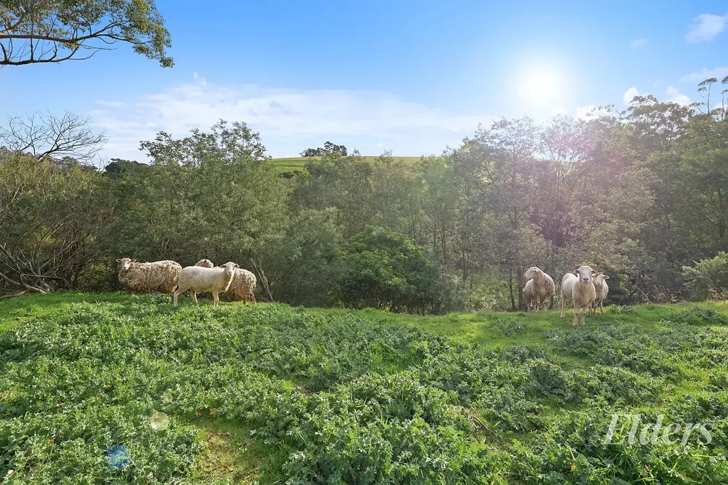 Narracan 3ਬੈੱਡਰੂਮ Peace, Privacy & Potential on 5.67 Acres