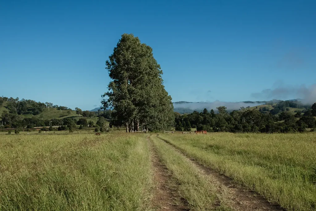 Wiangaree Affordable, Easy-Build 1.2 Acre Block