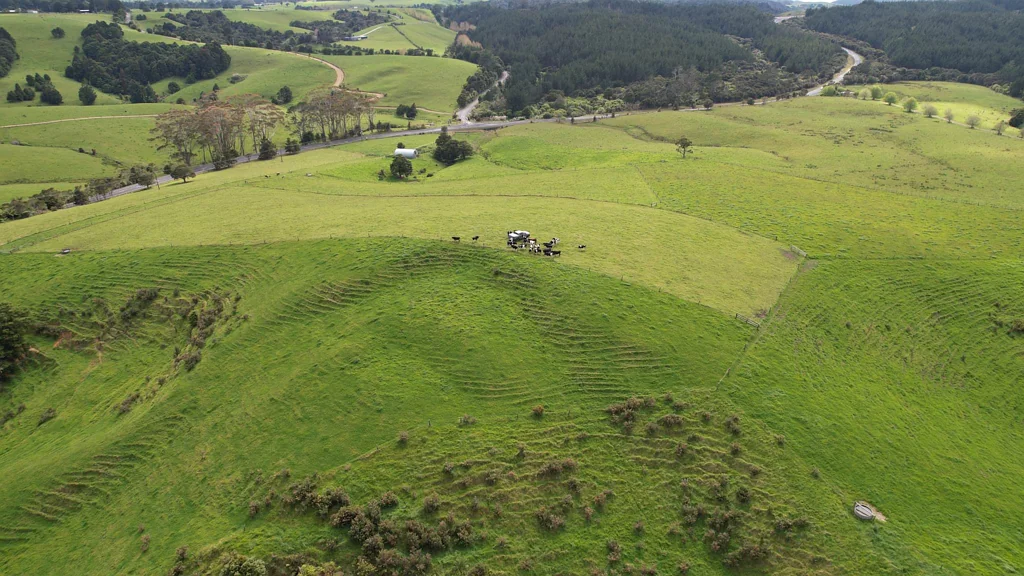 Kaeo  Price Drop Grazing Gold: 27.42ha Ready to Go