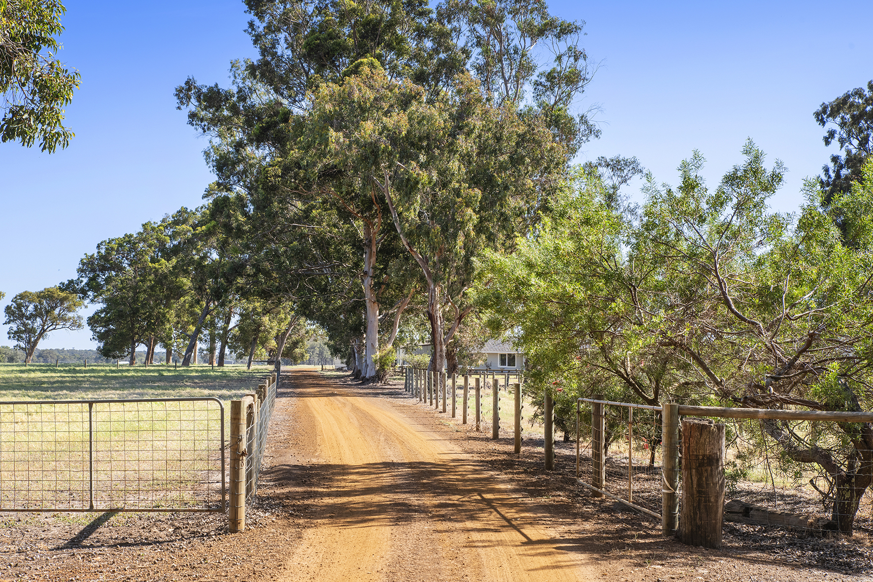 213 RUABON RD, RUABON WA 6280, 0 રૂમ, 0 બાથરૂમ, Lifestyle Property