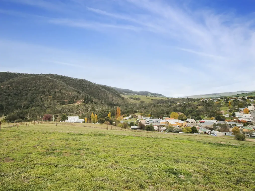 Omeo BUILD WITH VIEWS