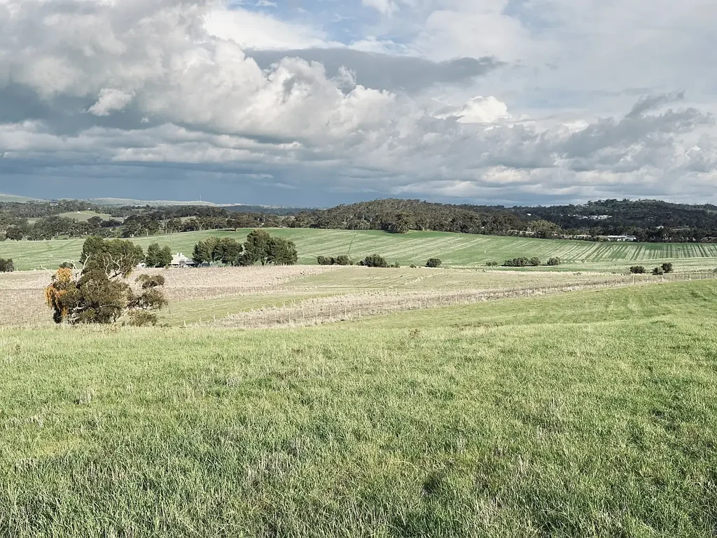 Stanley Flat  71 ACRES* OF A LIFESTYLE BLOCK WITH CAPTIVATING VIEWS