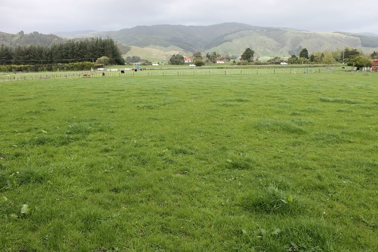 1272 Sh1 Levin South, Manakau, Horowhenua, 0 rūma, 0 rūma horoi