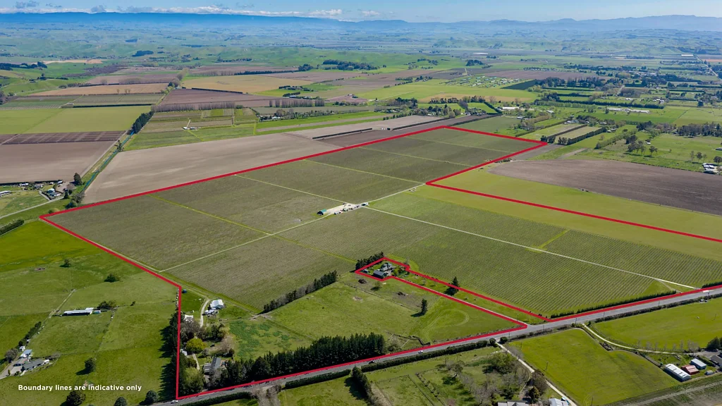 Longlands  Large scale, leased orchard and lifestyle