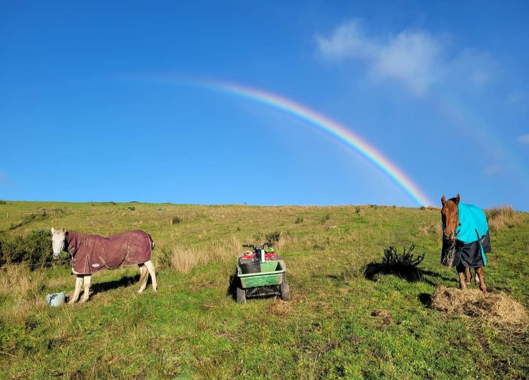 32a Rockspring Lane, Kerikeri Surrounds, Far North, 0 રૂમ, 0 બાથરૂમ, Section