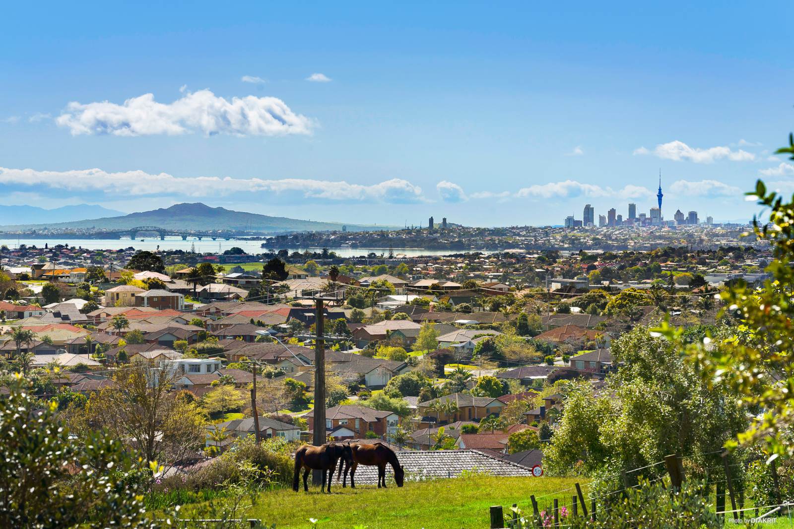 Rural  Waitakere Foothills Zone