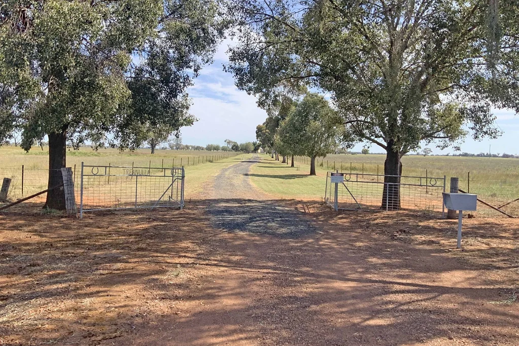 Peak Hill Country lifestyle close to town.