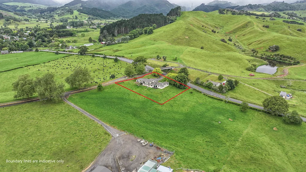 Puriri  Opportunity and options