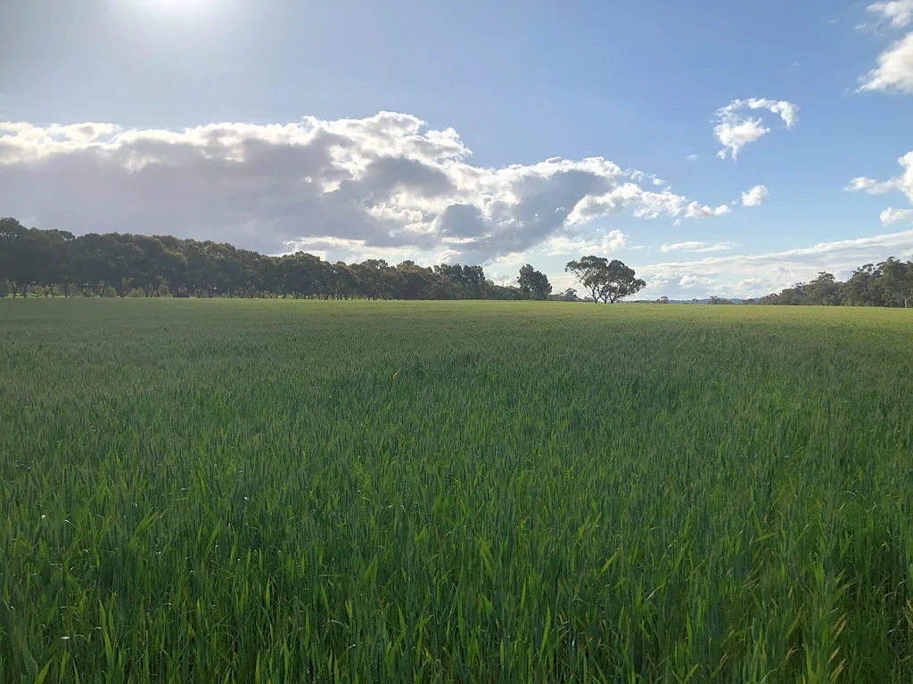 Hoddys Well RURAL LAND