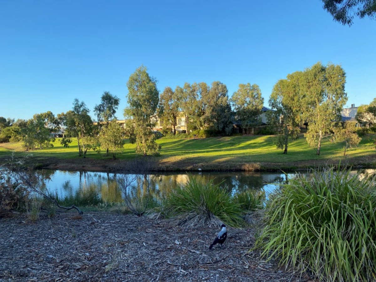 17 EUSTON WALK, MAWSON LAKES SA 5095, 0 Bedrooms, 0 Bathrooms, Unit