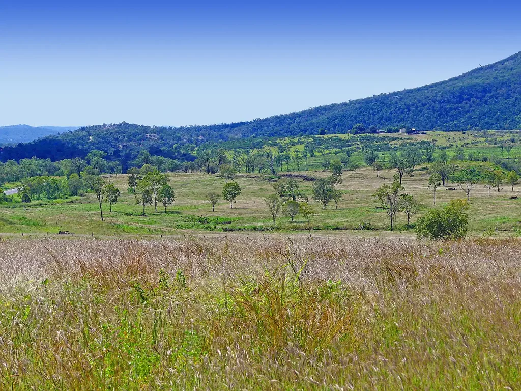 Westwood  "SPRING CREEK RIDGE"