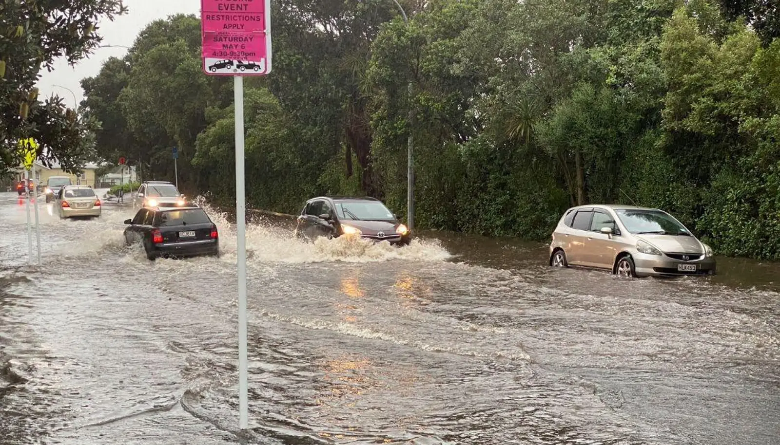 心塞！奥克兰暴雨过后，最可怕的事情还是发生了……