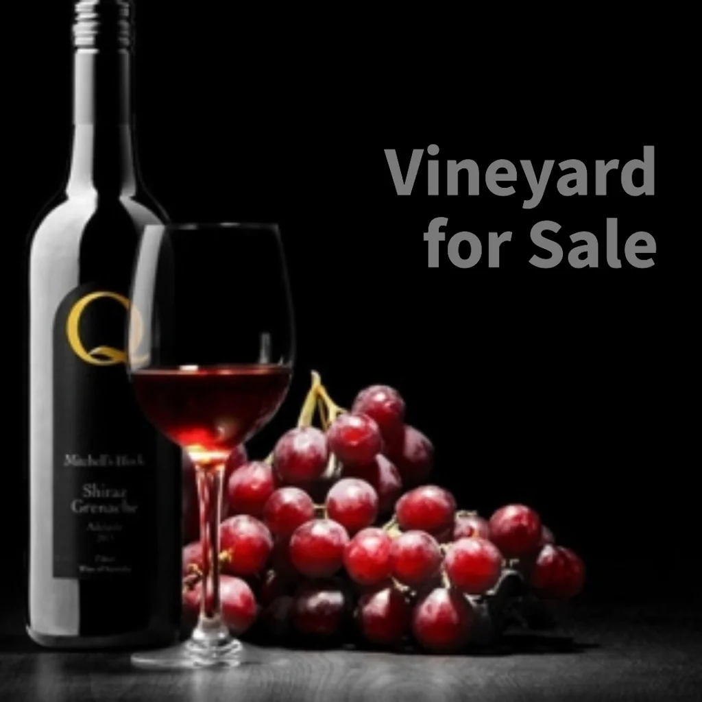 Aldinga Large Scale Vineyard on 4 Titles