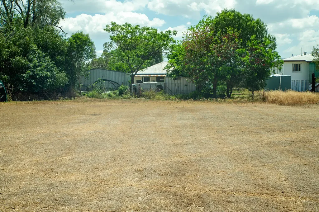 Goovigen A Blank Canvas