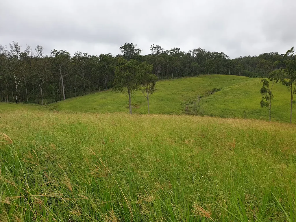 Mount Perry  222 HA HIGH COUNTRY CATTLE PROPERTY WITH MAGNIFICENT VIEWS - UNIQUE OPPORTUNITY