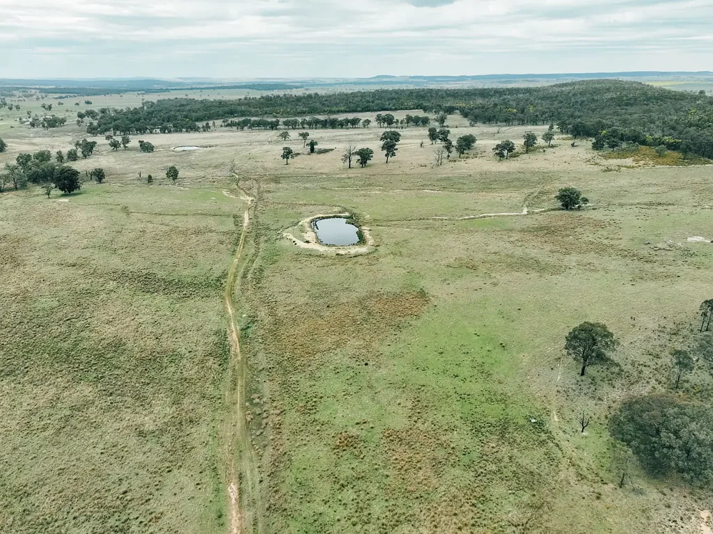 Dunedoo "Rocklinden" Grazing, diversity & lifestyle.